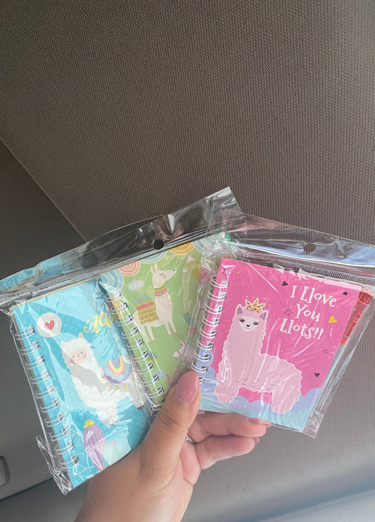Kids Journals w/pens